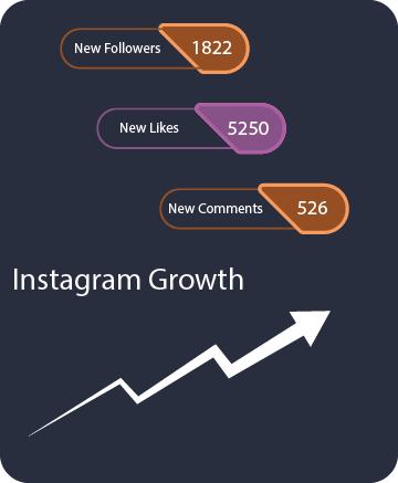 Instagram Followers Growth Services By IG Champ